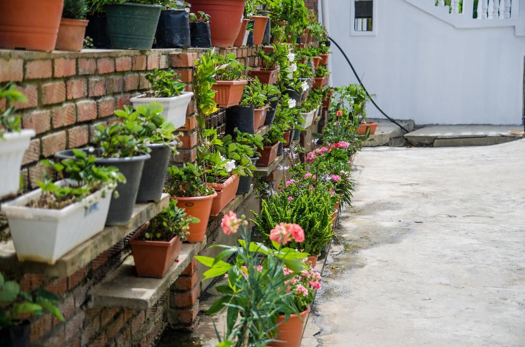 Kundasang Guesthouse Eksteriør billede